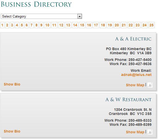 Preview of Business Directory created through Connections Plugin