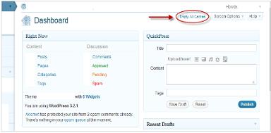 Preview of Admin flush W3TC cache extension