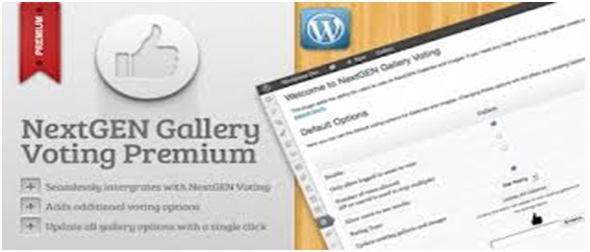 Image Gallery Voting