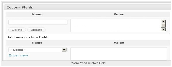 Utilizing WordPress Custom Fields