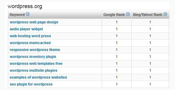 Wordpress.org -  top 10 ranking keywords on Google and Bing