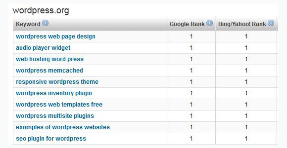 Wordpress.org - top 10 ranking keywords on Google and Bing