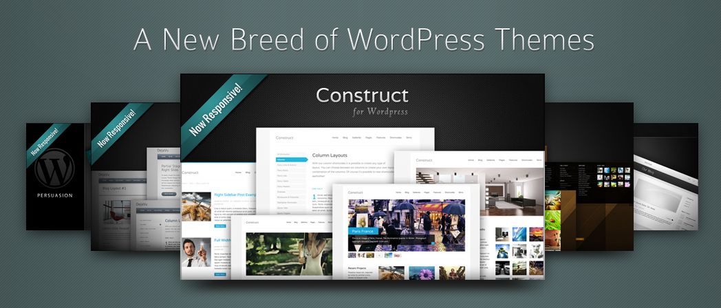 MySiteMyWay - WordPress Theme Framework