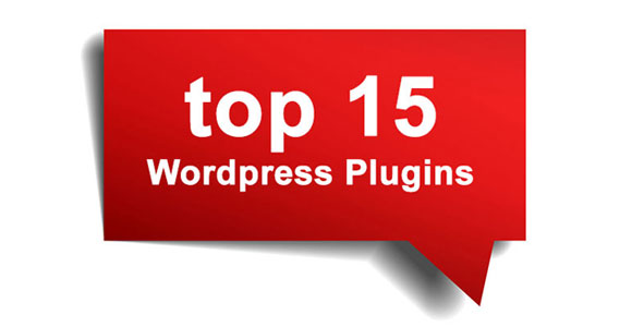 Top Wordpress Plugins-2013