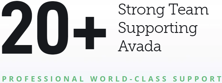 Avada WordPress Theme Features