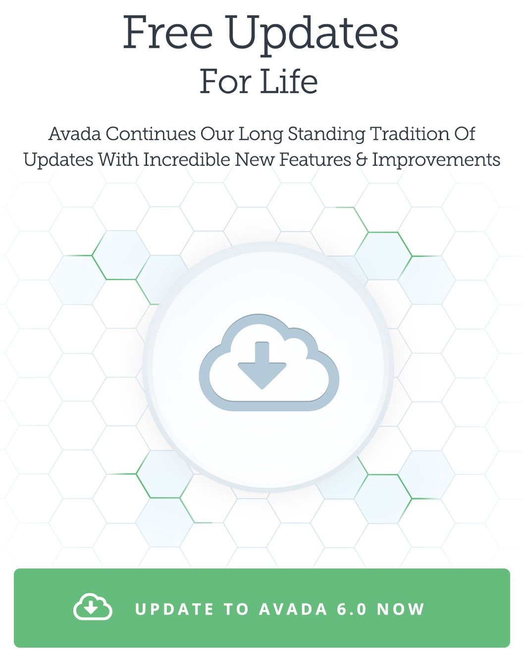 Avada WordPress Theme Features