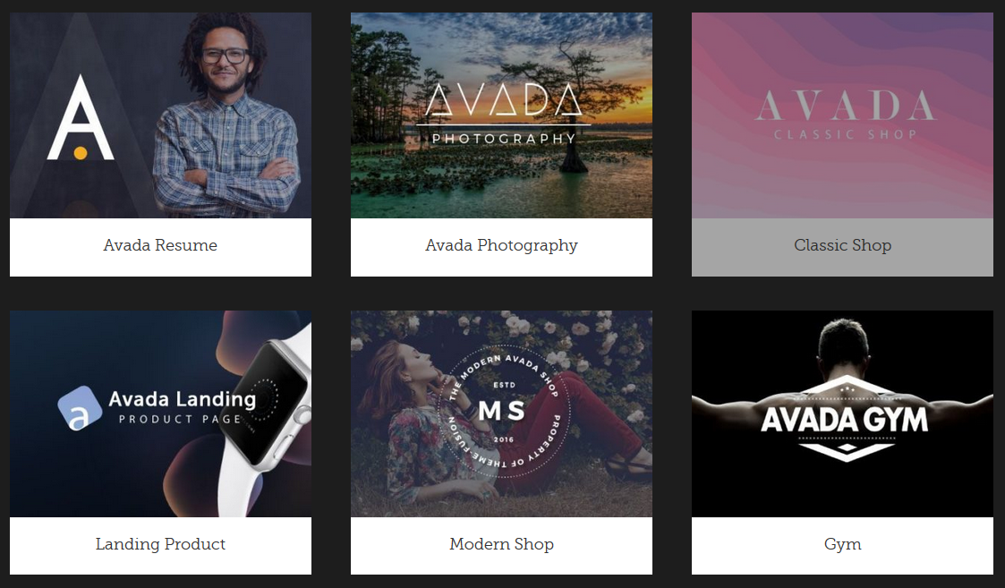 Avada WordPress Theme Types 