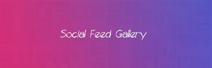 Social Feed Gallery