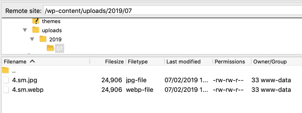 Manual WebP Configuration