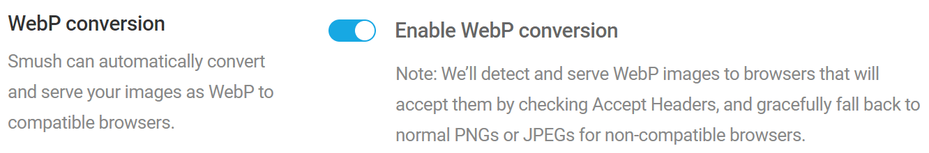 WebP conversion