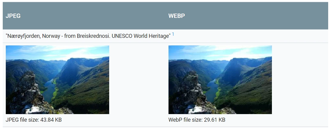 WebP Image