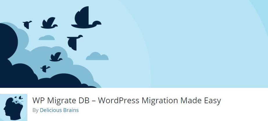 WP Migrate DB Plugin