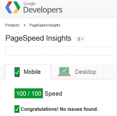 WooCommerce Theme Speed