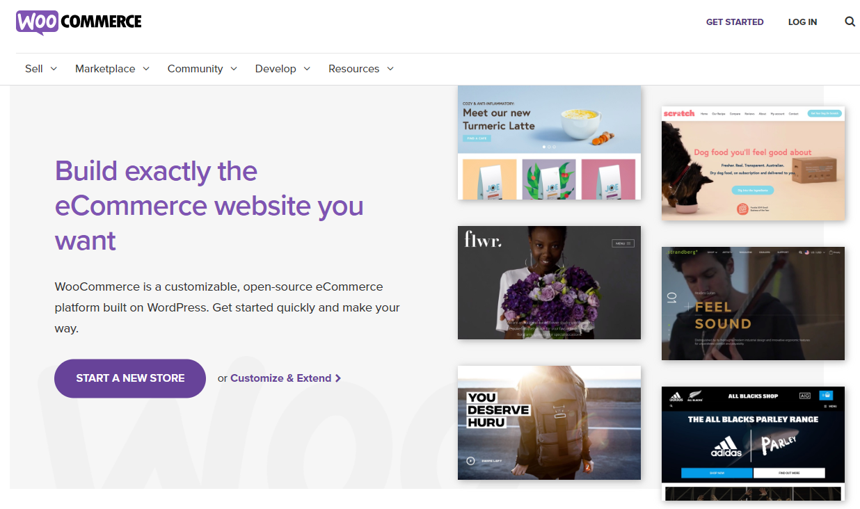 WordPress eCommerce