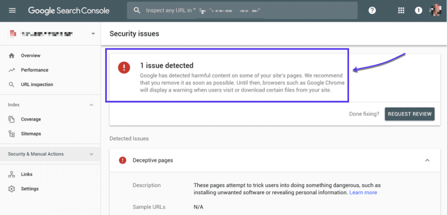 Google Search Console Security Issues