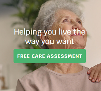 Live In Care - HTML to WordPress Conversion - WordpressIntegration Client